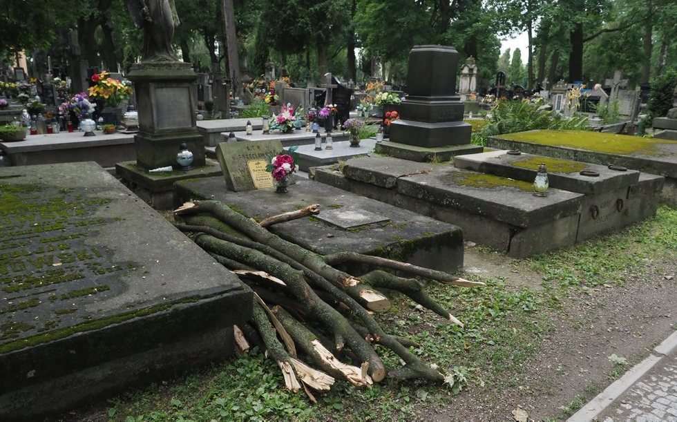  Cmentarz przy lipowej (zdjęcie 4) - Autor: Wojciech Nieśpiałowski