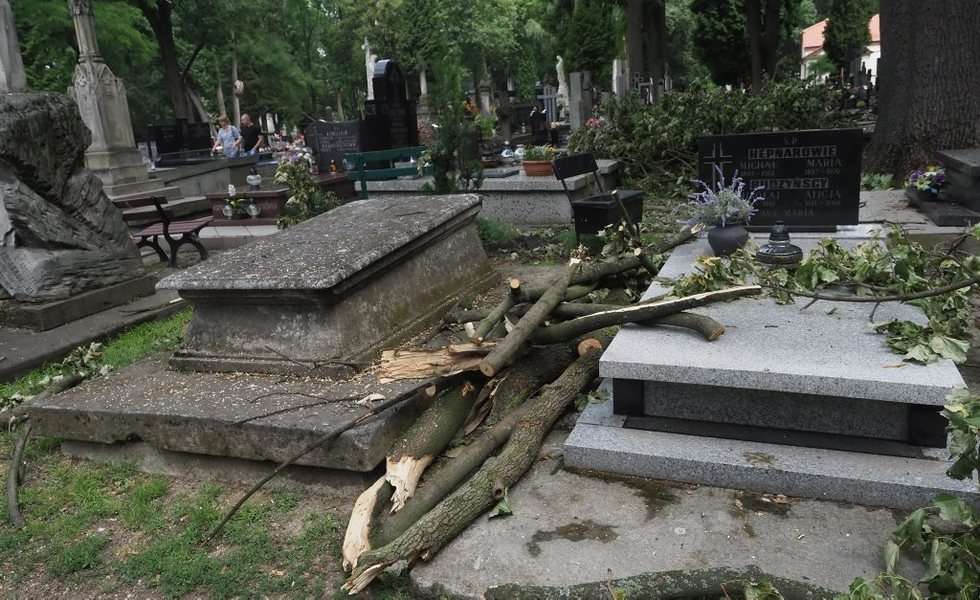 Cmentarz przy lipowej (zdjęcie 6) - Autor: Wojciech Nieśpiałowski