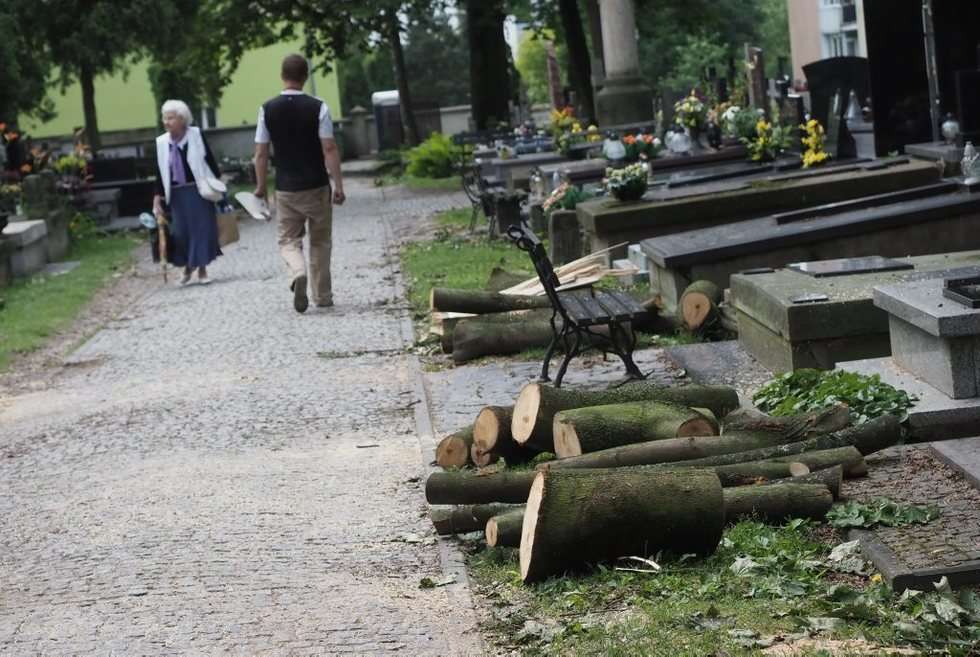  Cmentarz przy lipowej (zdjęcie 11) - Autor: Wojciech Nieśpiałowski