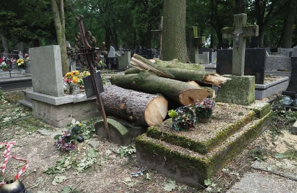  Cmentarz przy lipowej (zdjęcie 10) - Autor: Wojciech Nieśpiałowski