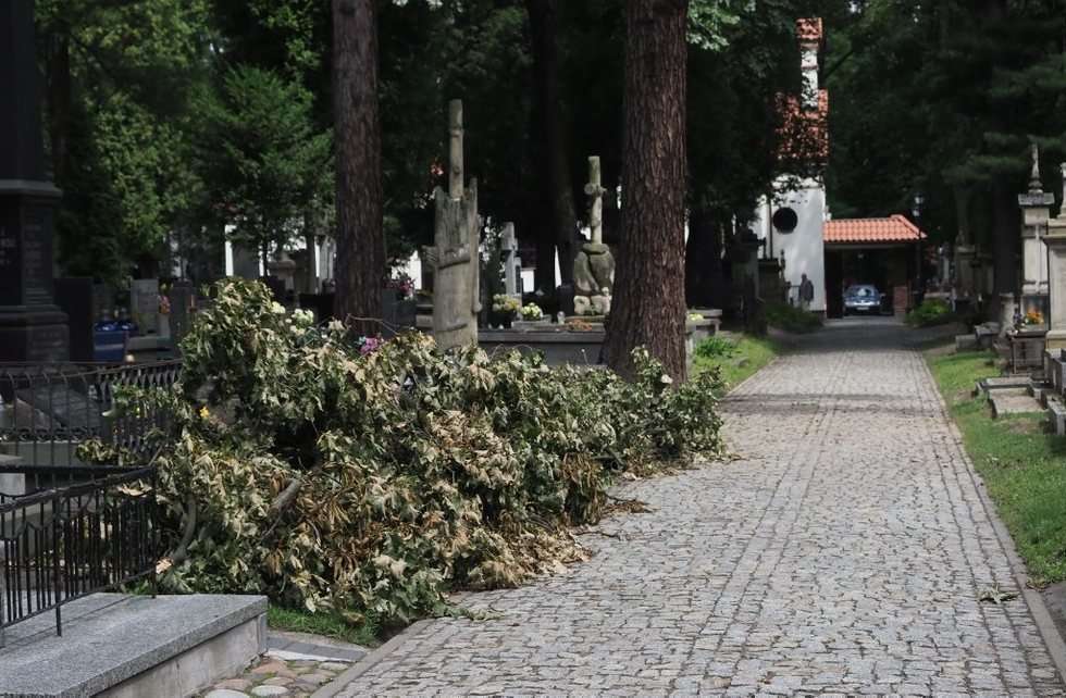  Cmentarz przy lipowej (zdjęcie 2) - Autor: Wojciech Nieśpiałowski