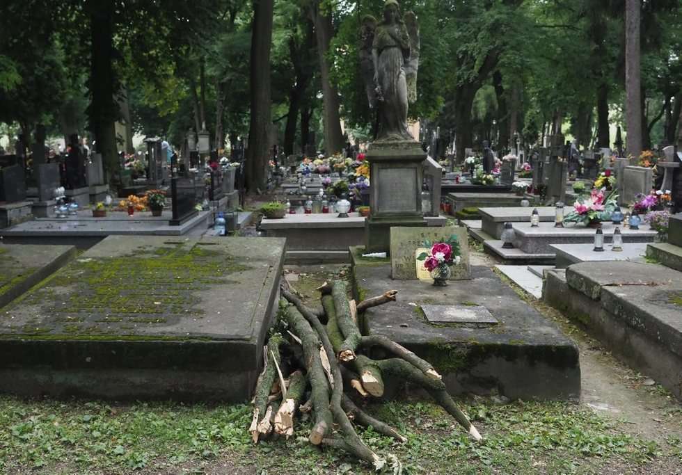  Cmentarz przy lipowej (zdjęcie 5) - Autor: Wojciech Nieśpiałowski