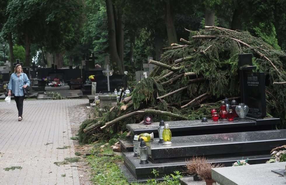  Cmentarz przy lipowej (zdjęcie 14) - Autor: Wojciech Nieśpiałowski