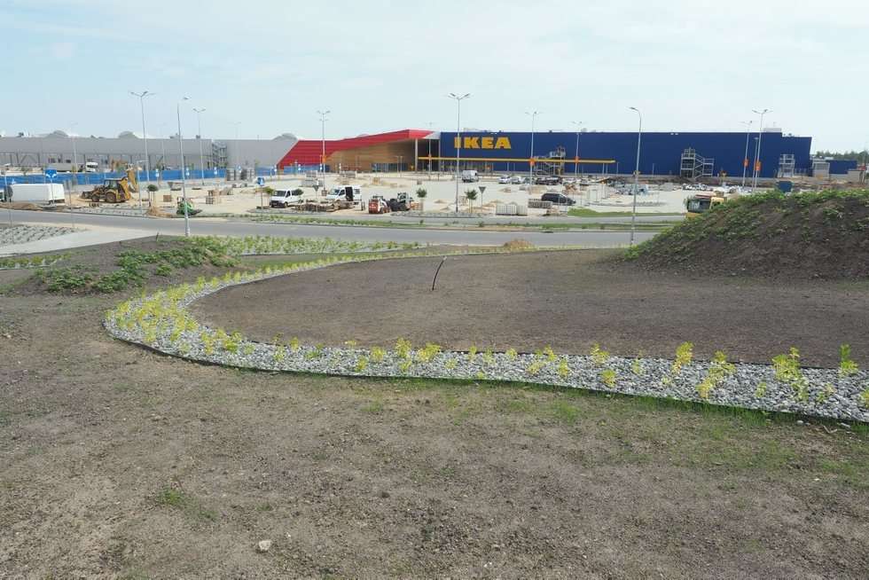  Budowa hipermarketu IKEA: prace wykończeniowe (zdjęcie 6) - Autor: Maciej Kaczanowski