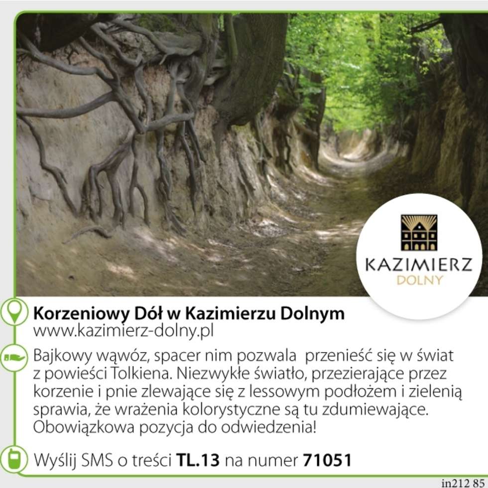  <p>Korzeniowy D&oacute;ł w Kazimierzu Dolnym</p>