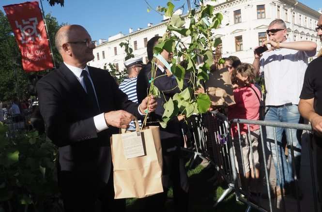 Sadzonki winorośli dla mieszkańców Lublina