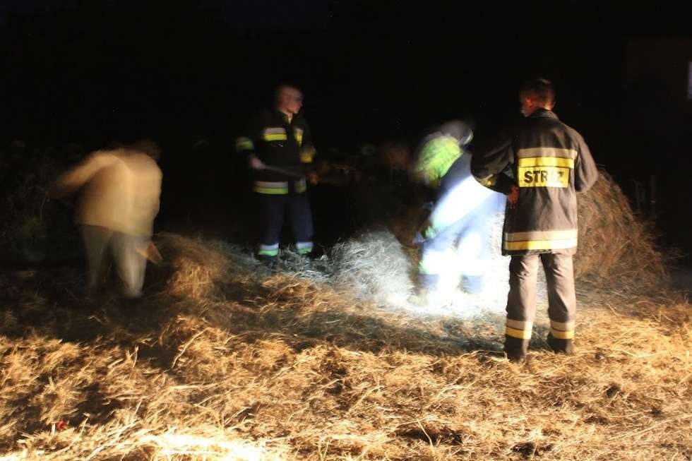  Strażacy uratowali krowę. Ale też odkryli, jak traktowane są inne zwierzęta (zdjęcie 2) - Autor: KP PSP Hrubieszów