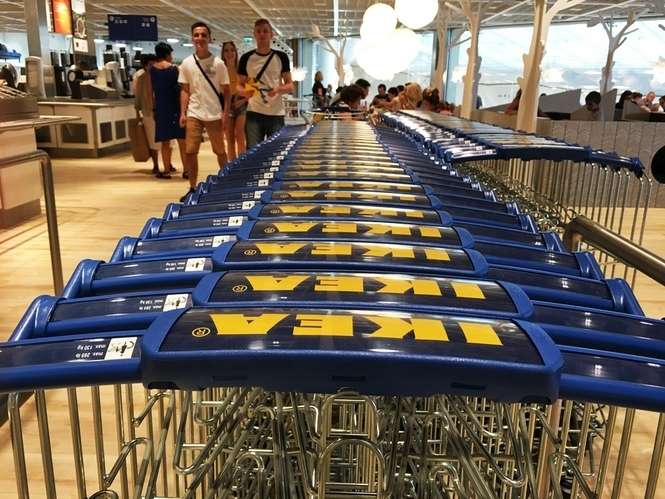Family Day w IKEA Lublin - Autor: KW
