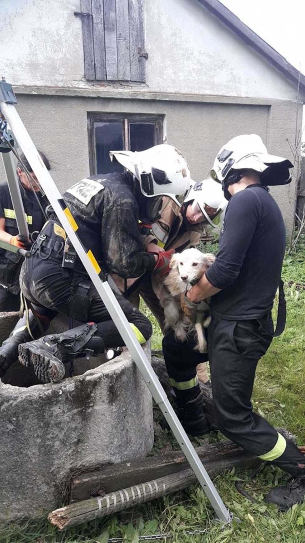 Ochotnicy uratowali psa (zdjęcie 2) - Autor: OSP Nałęczów