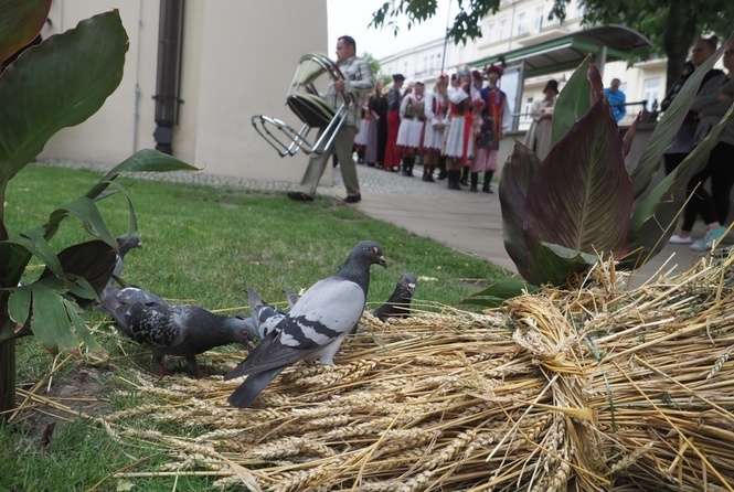 Narodowe Czytanie Wesela Stanisława Wyspiańskiego w Lublinie