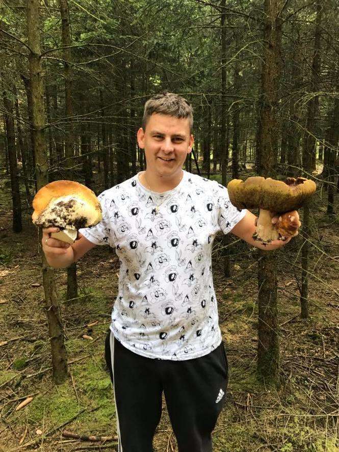 Wysyp grzybów w lasach