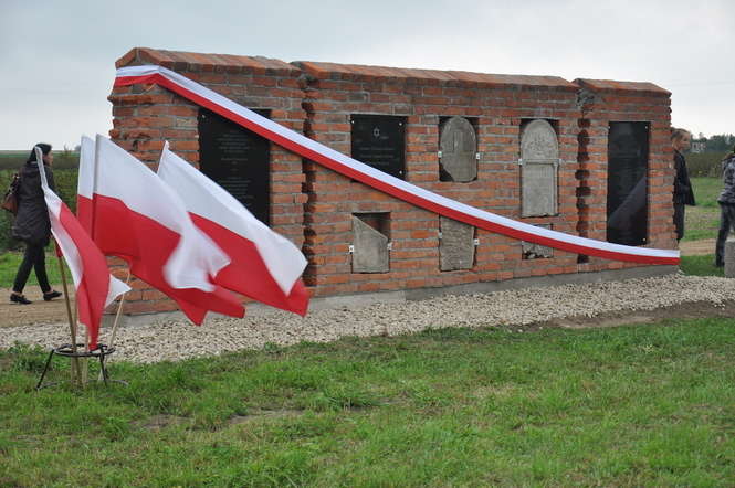 Odsłonięcie niezwykłego muru w Kurowie - Autor: Antoni Płachta