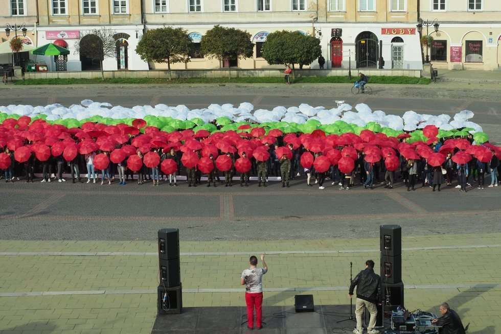  Licealiści Lublinowi: flaga miasta ułożona z parasolek na pl. Zamkowym (zdjęcie 6) - Autor: Maciej Kaczanowski