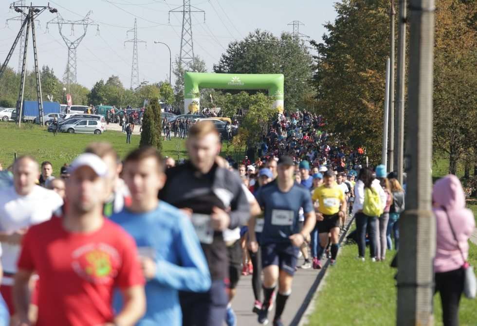  Pierwsza Dycha do Maratonu (zdjęcie 47) - Autor: Wojciech Nieśpiałowski