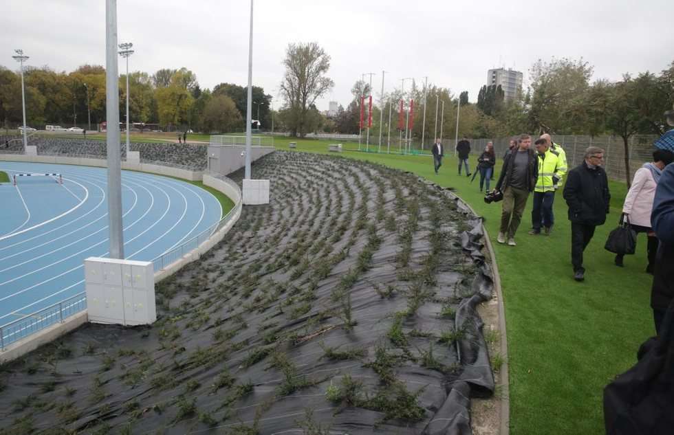  Stadion lekkoatletyczny (zdjęcie 28) - Autor: Wojciech Nieśpiałowski
