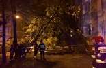 Orkan Ksawery. Połamane drzewa w Lubelskiem (zdjęcie 5)