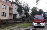 Orkan Ksawery. Połamane drzewa w Lubelskiem (zdjęcie 2)