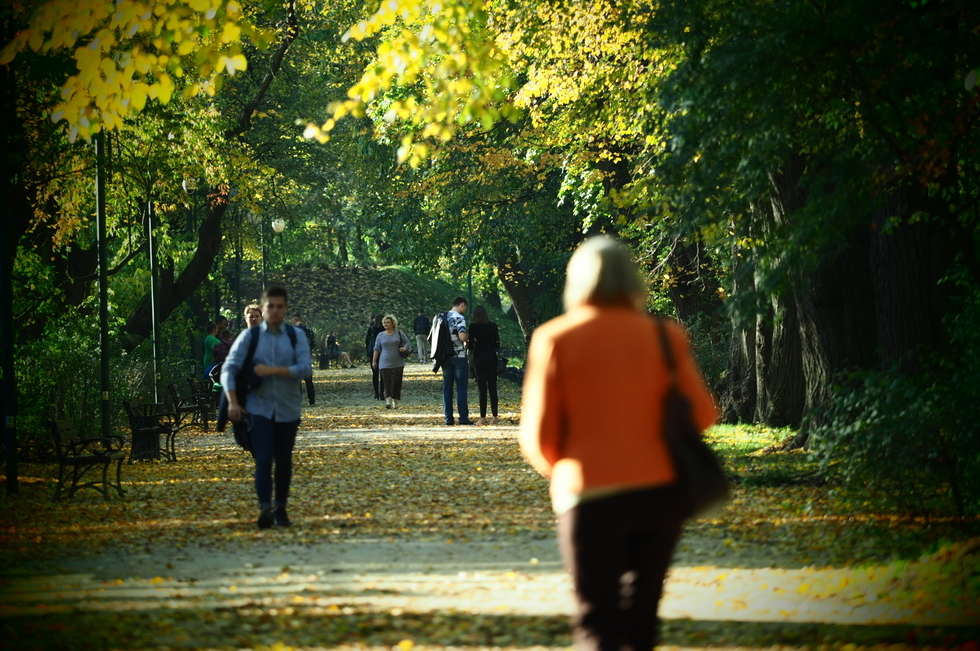  Jesień w Ogrodzie Saskim w Lublinie (zdjęcie 15) - Autor: Wojciech Nieśpiałowski