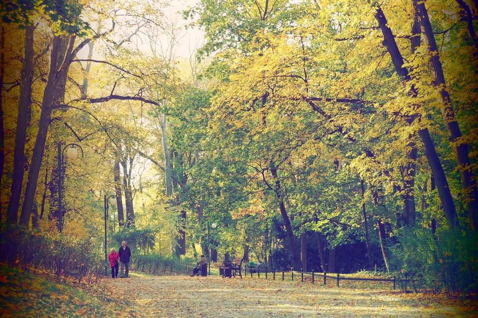  Jesień w Ogrodzie Saskim w Lublinie (zdjęcie 21) - Autor: Wojciech Nieśpiałowski