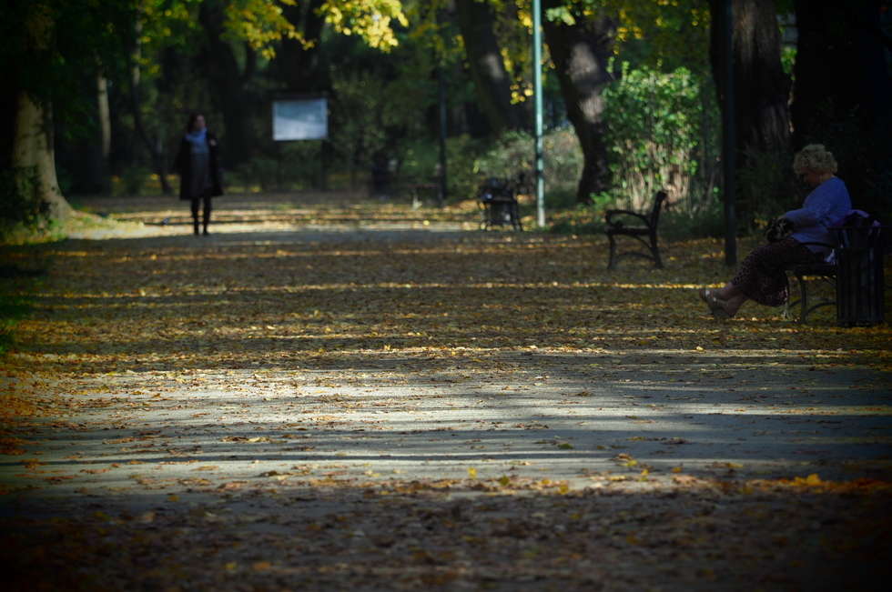  Jesień w Ogrodzie Saskim w Lublinie (zdjęcie 7) - Autor: Wojciech Nieśpiałowski
