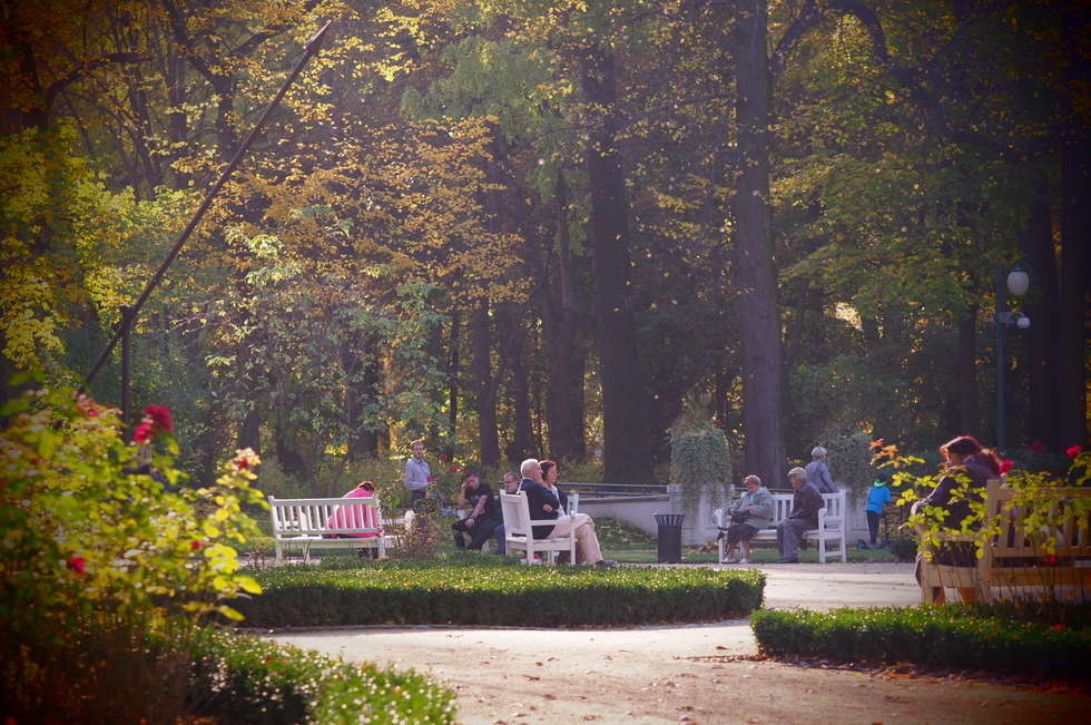  Jesień w Ogrodzie Saskim w Lublinie (zdjęcie 11) - Autor: Wojciech Nieśpiałowski