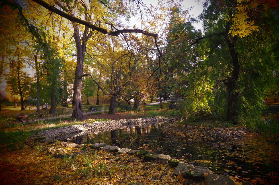  Jesień w Ogrodzie Saskim w Lublinie (zdjęcie 27) - Autor: Wojciech Nieśpiałowski