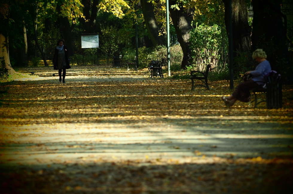  Jesień w Ogrodzie Saskim w Lublinie (zdjęcie 6) - Autor: Wojciech Nieśpiałowski