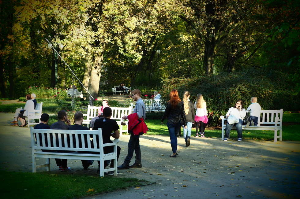  Jesień w Ogrodzie Saskim w Lublinie (zdjęcie 4) - Autor: Wojciech Nieśpiałowski