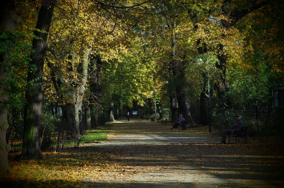  Jesień w Ogrodzie Saskim w Lublinie (zdjęcie 8) - Autor: Wojciech Nieśpiałowski