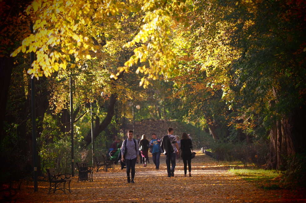  Jesień w Ogrodzie Saskim w Lublinie (zdjęcie 16) - Autor: Wojciech Nieśpiałowski