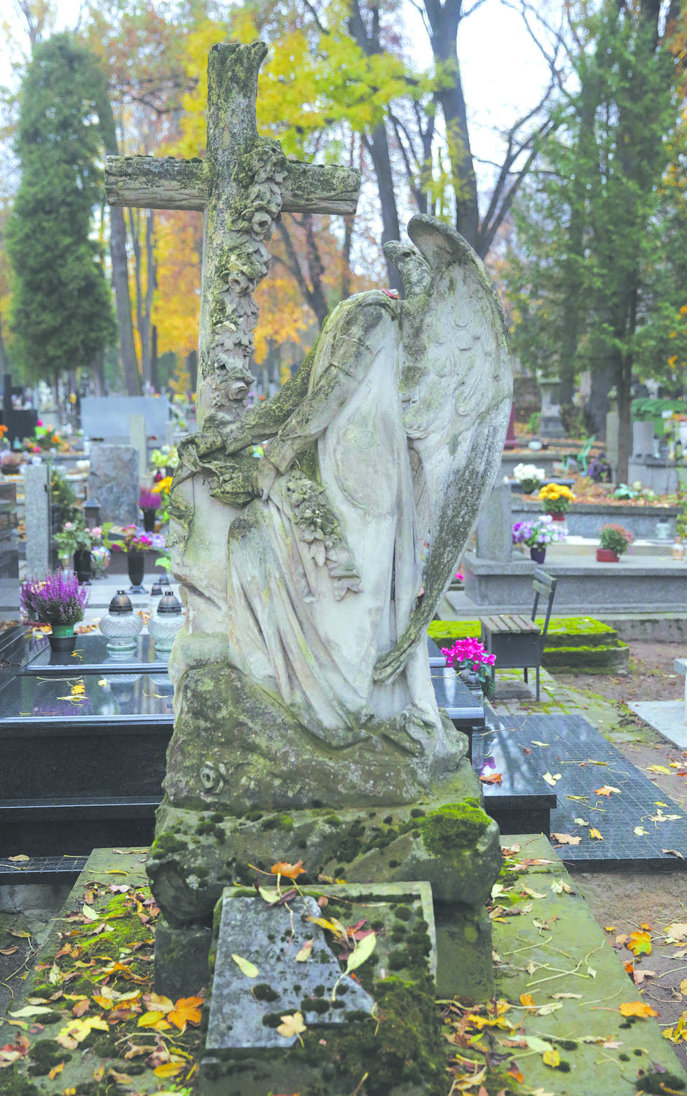  <p>Nagrobek rodziny Czempińskich, koniec XIX wieku z uszkodzoną rzeźbą anioła.&nbsp;</p>