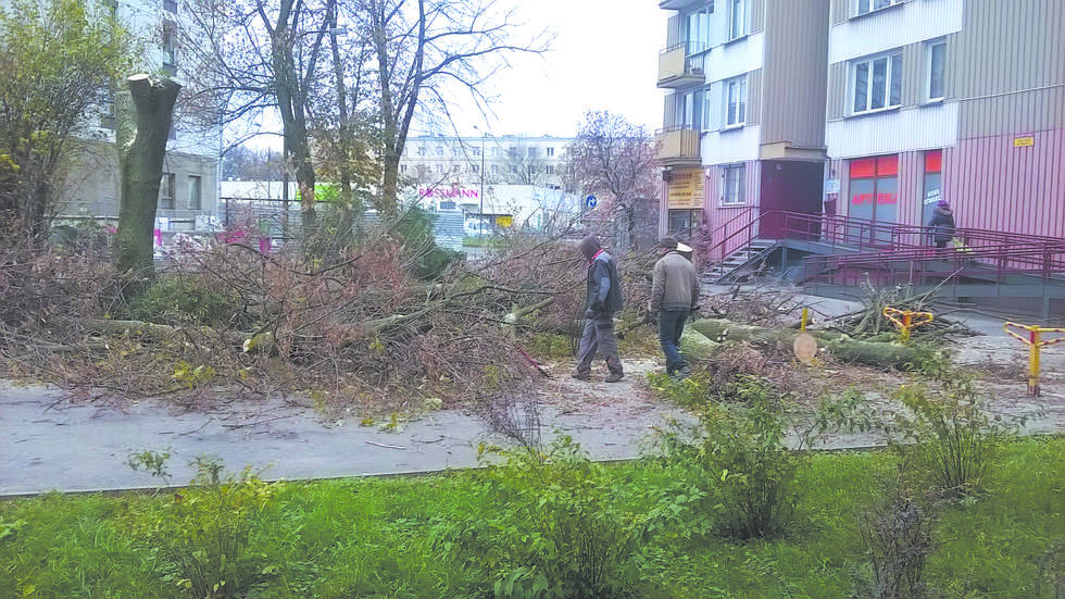  Wycinka drzew przy ul. Łabędziej   - Autor: Czytelnik / alarm24