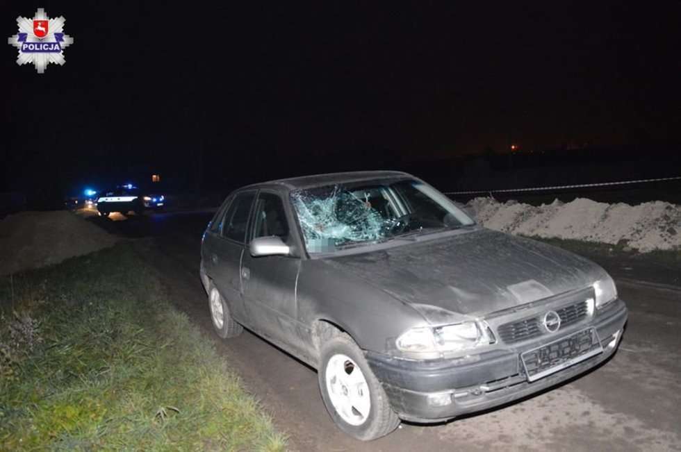  Wypadek w miejscowości Kamień Kolonia (zdjęcie 1) - Autor: Policja