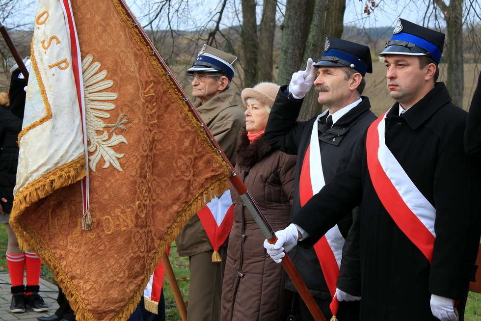  Święto Niepodległości w Puławach (zdjęcie 35) - Autor: Radosław Szczęch