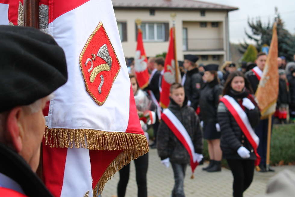  Święto Niepodległości w Puławach (zdjęcie 14) - Autor: Radosław Szczęch