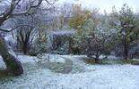  Śnieg na Lubelszczyźnie (zdjęcie 2)
