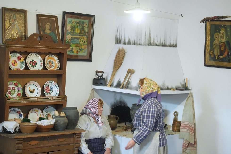  Pierzaki kumowskie w Muzeum Wsi Lubelskiej (zdjęcie 11) - Autor: Maciej Kaczanowski