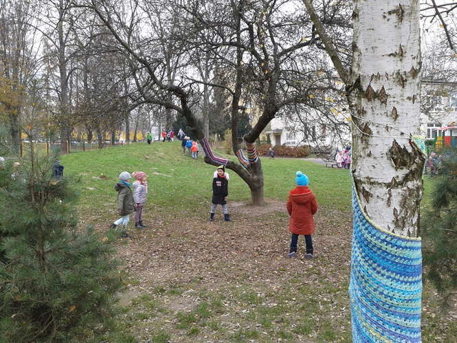 Drzewa w szalikach przy Przedszkolu nr 42 w Lublinie - Autor: Alarm 24