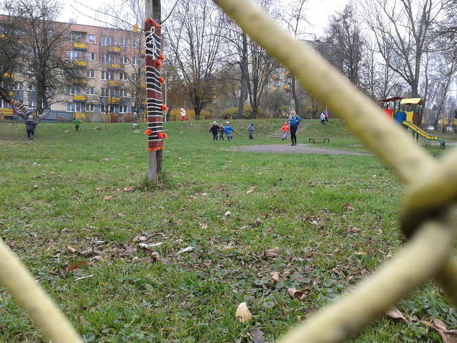 Drzewa w szalikach przy Przedszkolu nr 42 w Lublinie