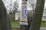 Drzewa w szalikach przy Przedszkolu nr 42 w Lublinie (zdjęcie 5)