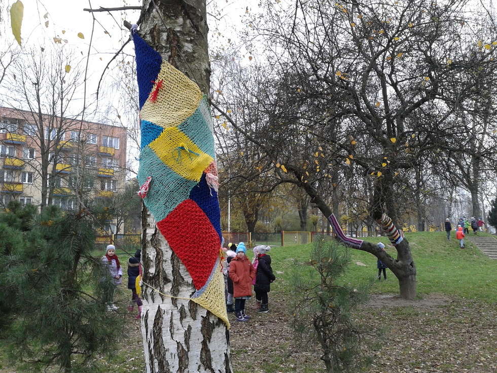  Drzewa w szalikach przy Przedszkolu nr 42 w Lublinie (zdjęcie 6) - Autor: Alarm 24