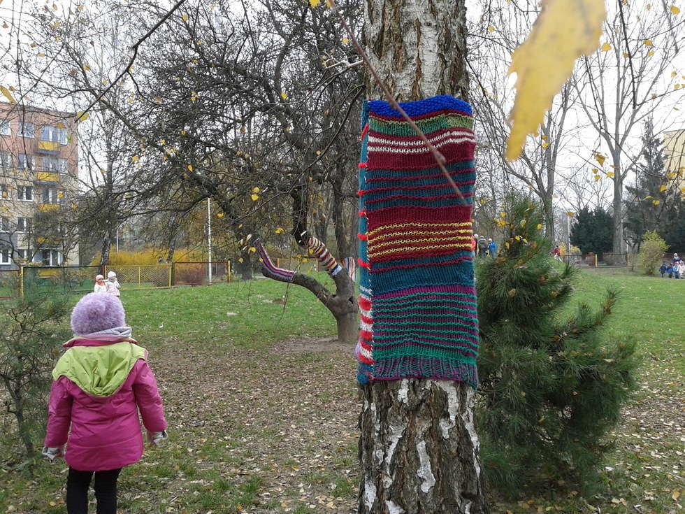  Drzewa w szalikach przy Przedszkolu nr 42 w Lublinie (zdjęcie 3) - Autor: Alarm 24
