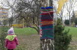 Drzewa w szalikach przy Przedszkolu nr 42 w Lublinie (zdjęcie 3)