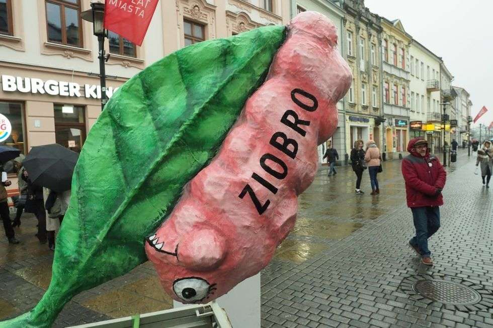  Demonstracja KOD w Lublinie (zdjęcie 6) - Autor: Maciej Kaczanowski