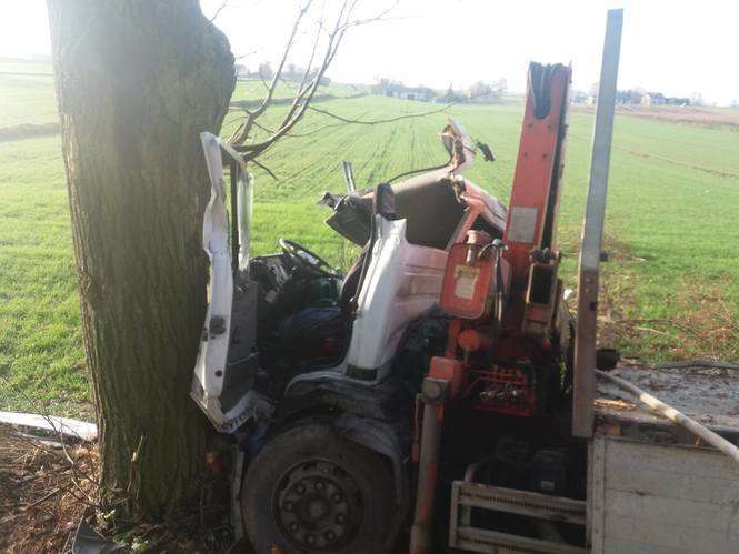 Piotrawin: Ciężarówka uderzyła w drzewo - Autor: Straż Pożarna Moszenki
