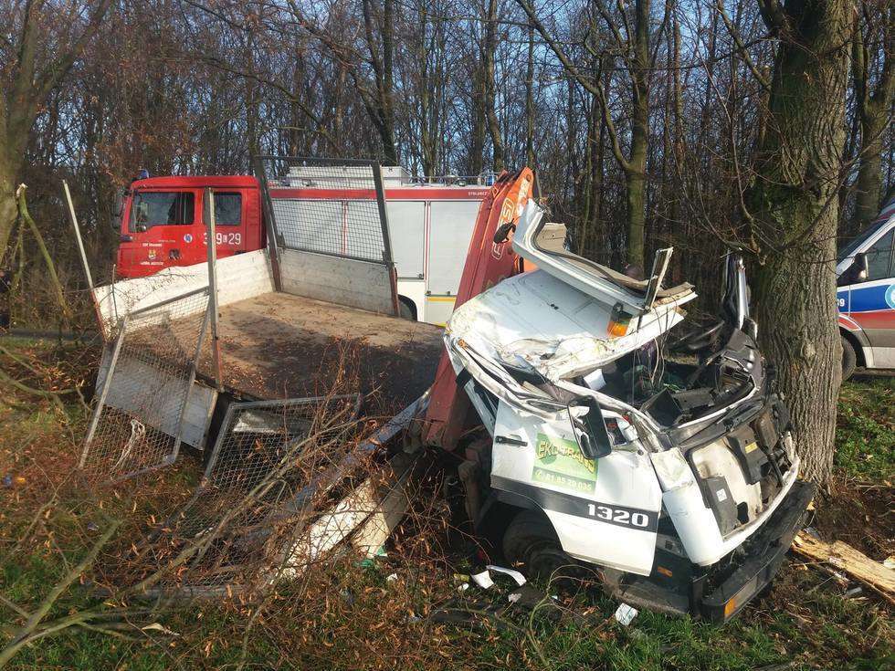  Piotrawin: Ciężarówka uderzyła w drzewo  - Autor: Straż Pożarna Moszenki