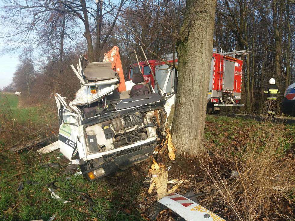  Piotrawin: Ciężarówka uderzyła w drzewo (zdjęcie 2) - Autor: Straż Pożarna Moszenki