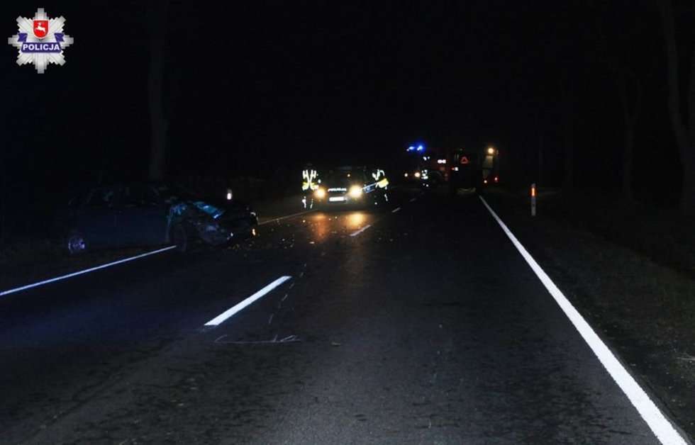  Wypadek w Janowie Lubelskim  (zdjęcie 2) - Autor: Policja