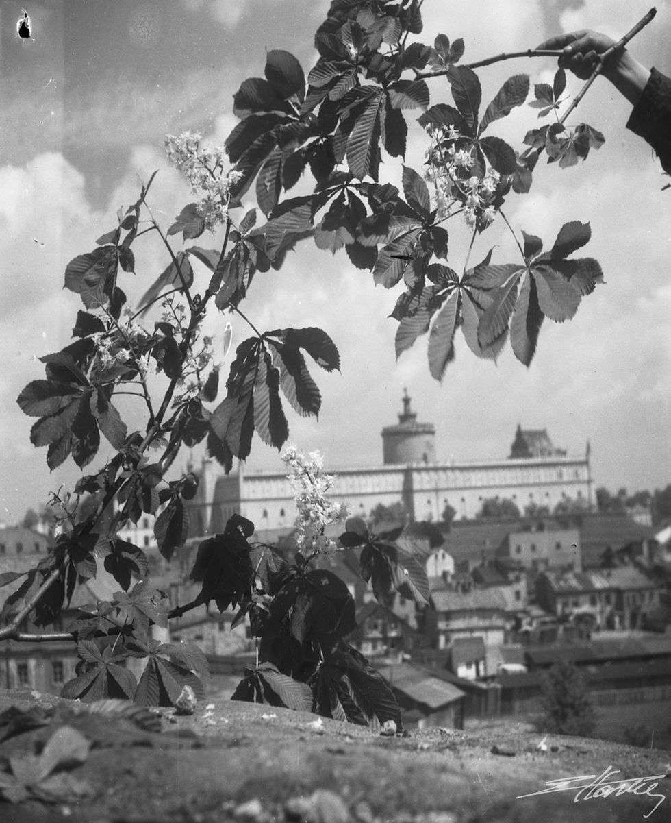  Opowieść o Lublinie z kilku tysięcy zdjęć Edwarda Hartwiga (zdjęcie 39) - Autor: Edward Hartwig