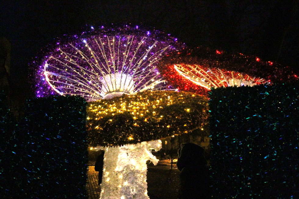  Świąteczna iluminacja w Puławach włączona (zdjęcie 4) - Autor: rs